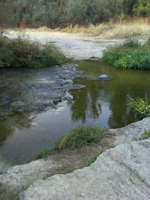 Parque Regional del Curso Medio del Río Guadarrama