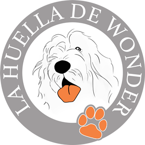 La Huella de Wonder